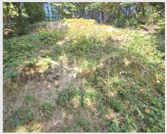  2024Ÿ83537  ֽ  217-3       (Ӿ)