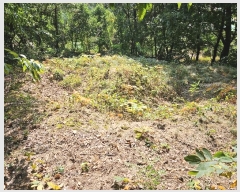  2024Ÿ83537  ֽ  217-3       (Ӿ)