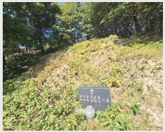  2024Ÿ83537  ֽ  217-3       (Ӿ)