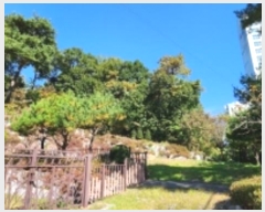  2024Ÿ83537  ֽ  217-3       (Ӿ)