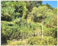  2024Ÿ83537  ֽ  217-3       (Ӿ)