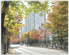  2024Ÿ��83827  ����Ʈ���