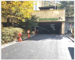  2024Ÿ84127  ֽ 򳻷 146, 2010 1101ȣ (򳻵,򳻸￡-Ŭ)    Ʈ