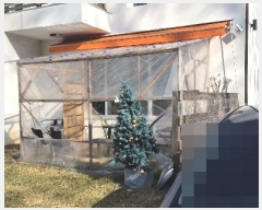  2024Ÿ84950   Ǹ âǸ 247-21      ð