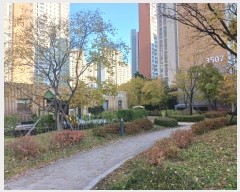  2024Ÿ85113  ֽ ٻ߾ӷ81 25, 3507 131303ȣ (ٻ굿,ٻѼ)    Ʈ