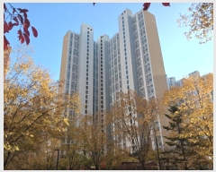  2024Ÿ85113  ֽ ٻ߾ӷ81 25, 3507 131303ȣ (ٻ굿,ٻѼ)    Ʈ