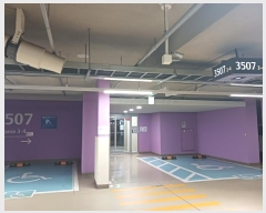  2024Ÿ85113  ֽ ٻ߾ӷ81 25, 3507 131303ȣ (ٻ굿,ٻѼ)    Ʈ