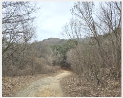  2024Ÿ86796    ݴ븮 89      (Ӿ)