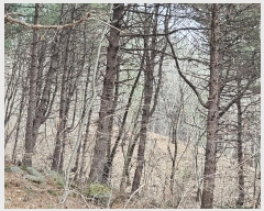  2024Ÿ86796    ݴ븮 89      (Ӿ)