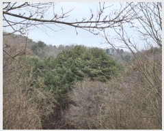  2024Ÿ86796    ݴ븮 89      (Ӿ)