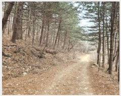  2024Ÿ86796    ݴ븮 89      (Ӿ)