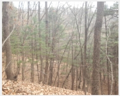  2024Ÿ86796    ݴ븮 89      (Ӿ)