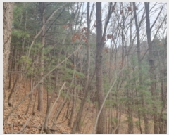  2024Ÿ86796    ݴ븮 89      (Ӿ)