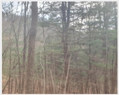  2024Ÿ86796    ݴ븮 89      (Ӿ)