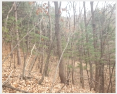  2024Ÿ86796    ݴ븮 89      (Ӿ)