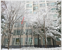  2024Ÿ��87003 ��� �����ֽ� ������ �عп���3�� 68, 1902�� 3��304ȣ (�ݰ����׸������Ʈ)   ����Ʈ���