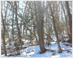  2024Ÿ��87584  �Ӿ߰��