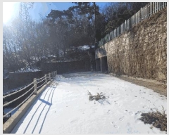  2024Ÿ��87584  �Ӿ߰��