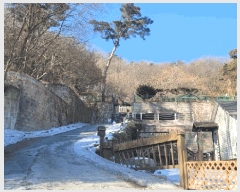  2024Ÿ��87584  �Ӿ߰��