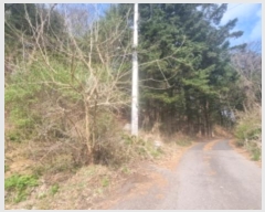  2024Ÿ3333  ֽ ݰ 428-21       ()