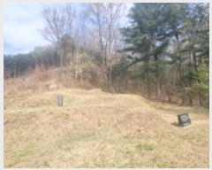  2024Ÿ3333  ֽ ݰ 428-21       ()