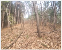  2024Ÿ3333  ֽ ݰ 428-21       ()