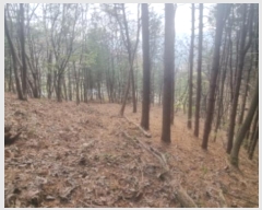  2024Ÿ3333  ֽ ݰ 428-21       ()