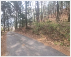  2024Ÿ��3340  �Ӿ߰��