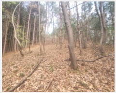  2024Ÿ��3340  �Ӿ߰��