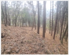  2024Ÿ��3340  �Ӿ߰��