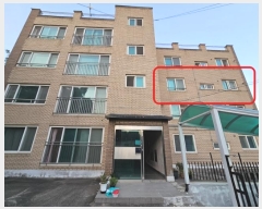  2024Ÿ��5124  �ټ���(����)���