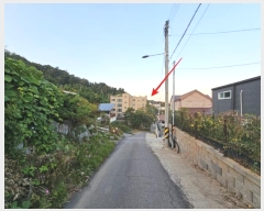  2024Ÿ��5124  �ټ���(����)���