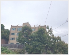  2024Ÿ��5124  �ټ���(����)���