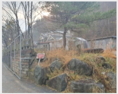  2024Ÿ��5919  ���ð��