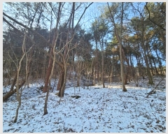  2024Ÿ��5957 ��� ���� ������ ��� ��206      ����(�Ӿ�)���