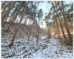  2024Ÿ��5957 ��� ���� ������ ��� ��206      ����(�Ӿ�)���