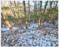  2024Ÿ��5957 ��� ���� ������ ��� ��206      ����(�Ӿ�)���