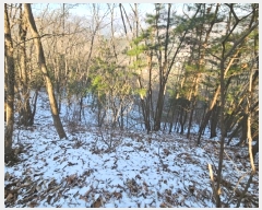  2024Ÿ��5957 ��� ���� ������ ��� ��206      ����(�Ӿ�)���