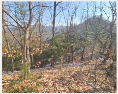  2024Ÿ��5957 ��� ���� ������ ��� ��206      ����(�Ӿ�)���