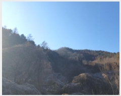  2024Ÿ��5957 ��� ���� ������ ��� ��206      ����(�Ӿ�)���