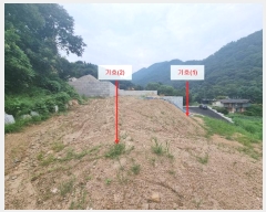  2024Ÿ��81173  �������