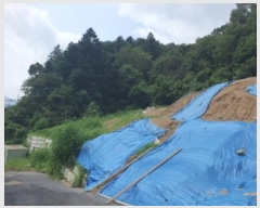  2024Ÿ��81173  �������