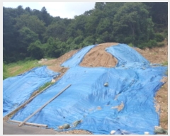  2024Ÿ��81173  �������