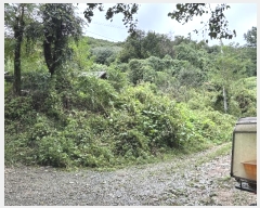  2024Ÿ82169   û û 546-38      (Ӿ)