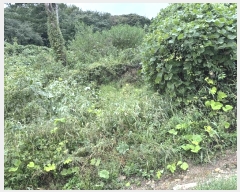  2024Ÿ82169   û û 546-38      (Ӿ)