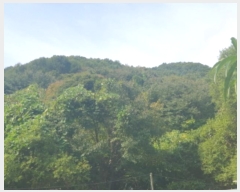  2024Ÿ82169   û õ 324-229      (Ӿ)