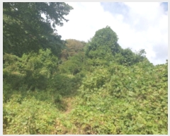  2024Ÿ82169   û õ 324-229      (Ӿ)