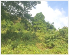  2024Ÿ82169   û õ 324-229      (Ӿ)