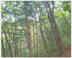  2024Ÿ82169   û õ 324-229      (Ӿ)