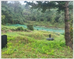  2024Ÿ83186  ֽ  縮 42      (1)